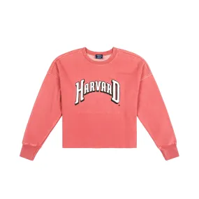 Harvard Distressed Crewneck