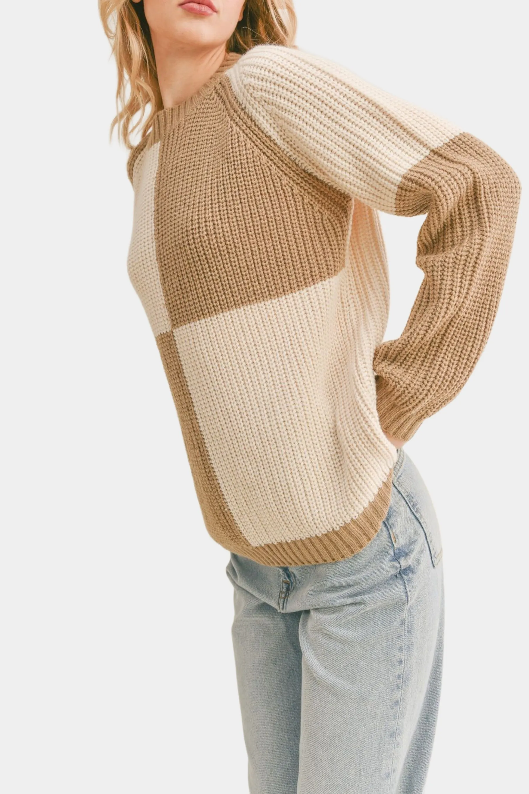 Joni Crew Neck Colorblock Sweater